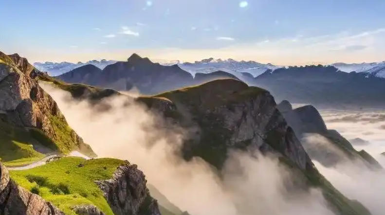 吉林启瑞生物科技有限公司轮播图3