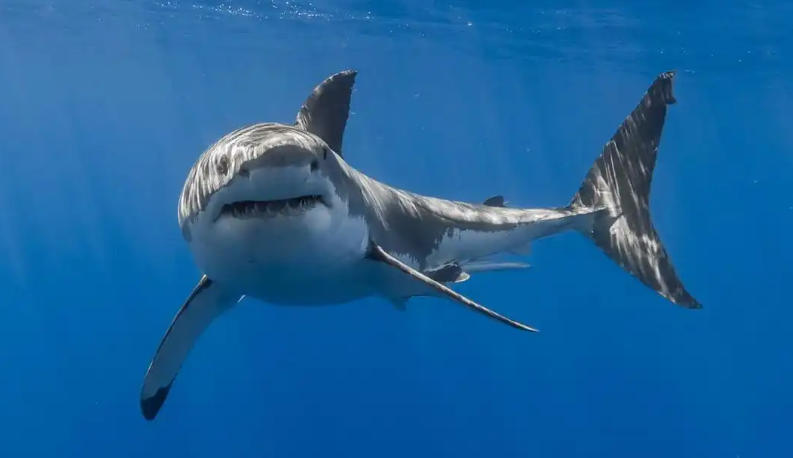 吉林启瑞生物科技有限公司轮播图2