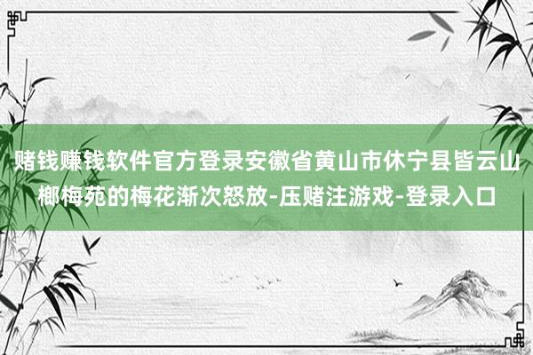 赌钱赚钱软件官方登录安徽省黄山市休宁县皆云山榔梅苑的梅花渐次怒放-压赌注游戏-登录入口