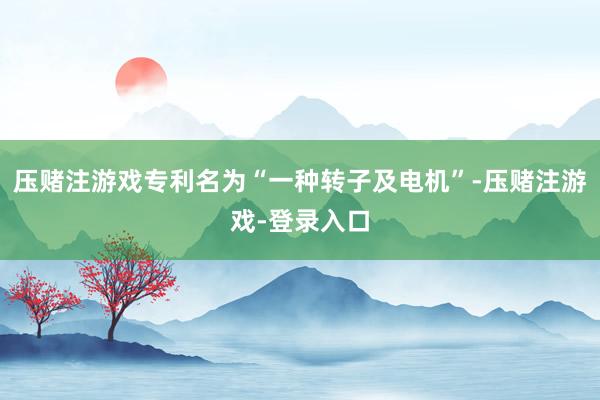 压赌注游戏专利名为“一种转子及电机”-压赌注游戏-登录入口