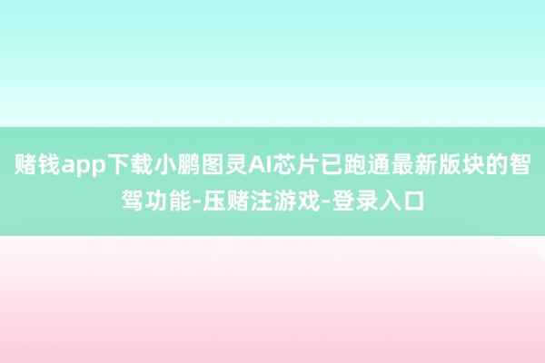 赌钱app下载小鹏图灵AI芯片已跑通最新版块的智驾功能-压赌注游戏-登录入口